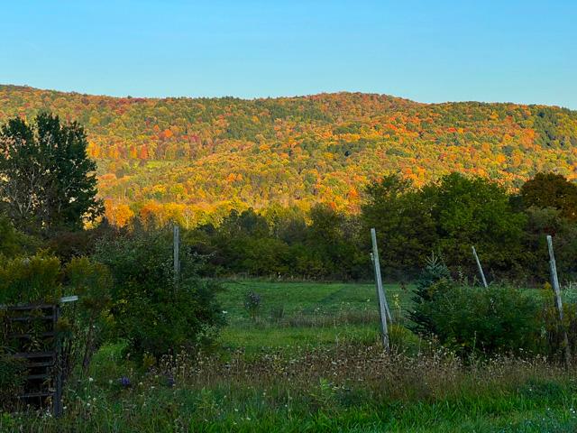 Cooperstown, NY