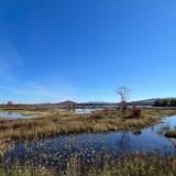 Tupper Lake