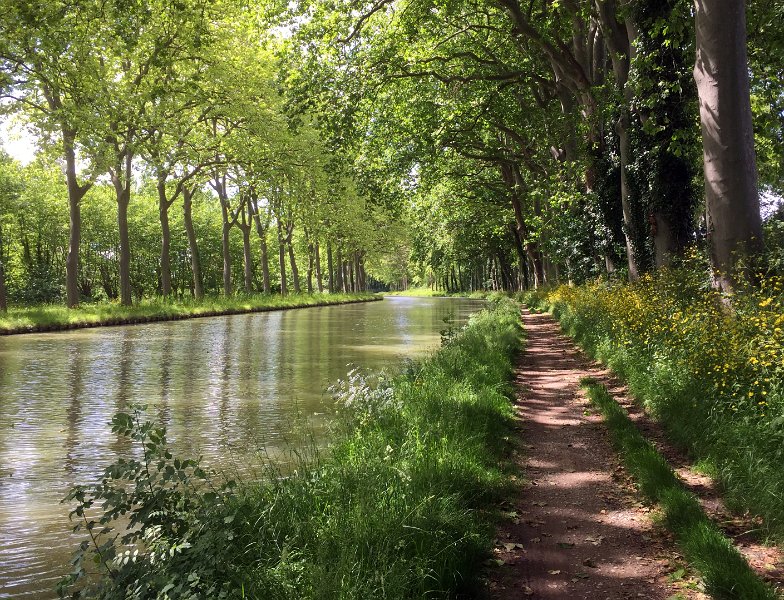 Canal du Midi