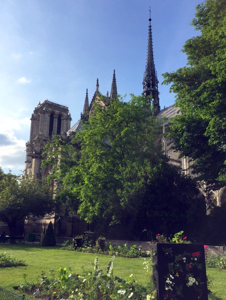 Another View of Notre Dame