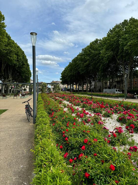 In Bastide de Carcassonne