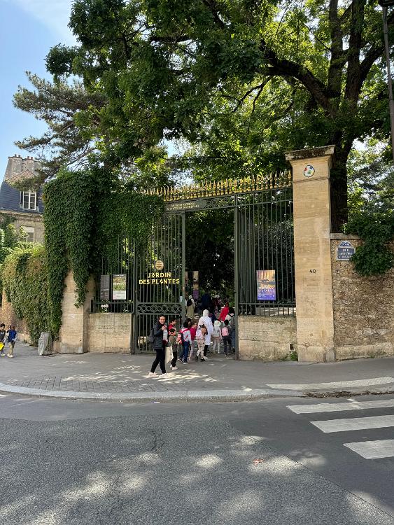 Jardin de Plantes