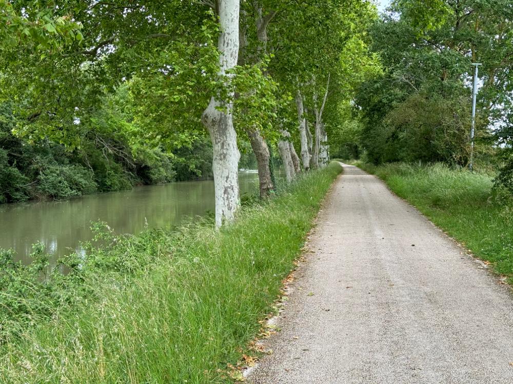 Back to the Canal du Midi