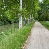 Back to the Canal du Midi