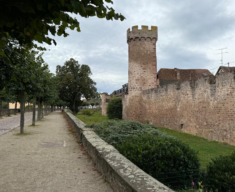 Obernai