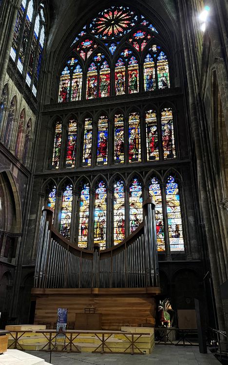 Organ