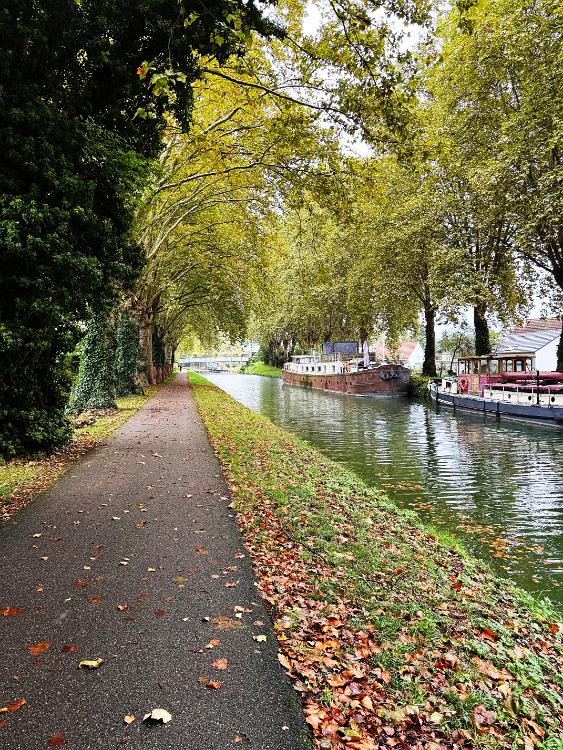 Rhine Rhone Canal