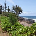 Coconut Coast Bike Trail