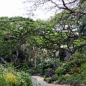 Waimea Valley