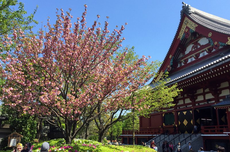 In Tokyo