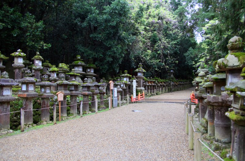 Lots of Lanterns