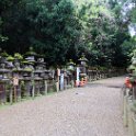 Lots of Lanterns