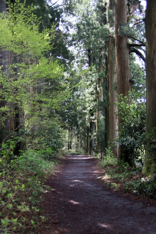 The Tokaido Road