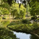 Parc Monceau 2